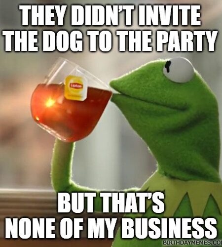 Kermit sipping tea throwing shade about not being invited to a birthday.