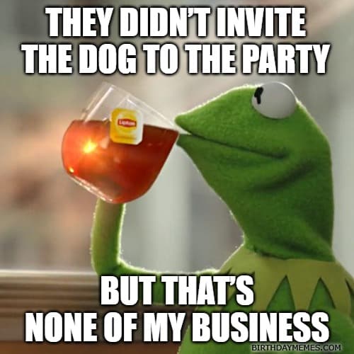 Kermit sipping tea throwing shade about not being invited to a birthday.