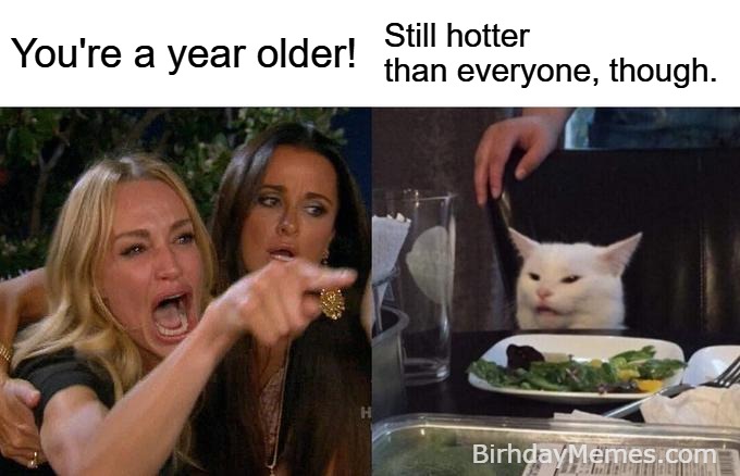 Birthday meme using the Woman Yelling at a Cat template, showing a woman yelling “You’re a year older!” and the cat replying “Still hotter than everyone, though.”