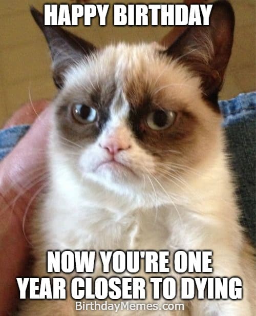 Dark humor birthday meme with grumpy cat